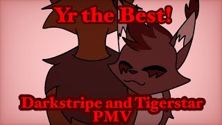 YR THE BEST! | Darkstripe and Tigerstar PMV