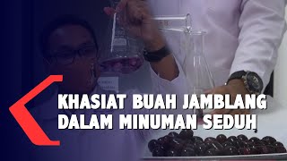 Khasiat Buah Jamblang dalam Minuman Seduh