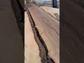 Debarking this beautiful Claro Walnut Slab 💪🏽🌲🙏🏽  #woodworking #trending #viral #walnut