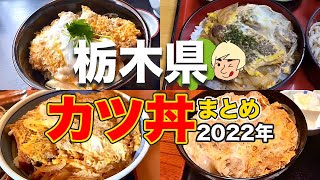 【ボリューム満点💯】2022年に食べたカツ丼まとめ【栃木グルメ】