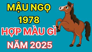 MẬU NGỌ 1978 Hợp Màu Gì Năm 2025 Để Mang Lại May Mắn Tài Lộc I Màu Sắc Hợp Phong Thuỷ