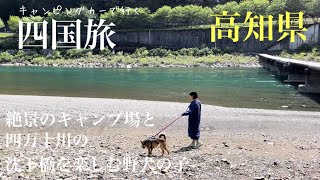 最高のキャンプ場と四万十川の沈下橋で絶景を楽しんだ野犬の子たち