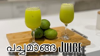 വേനൽക്കാല സ്പെഷ്യൽ പച്ചമാങ്ങാ കൂളർ/viral green mango juice #juicewrlde #viralvideo #viral#manga