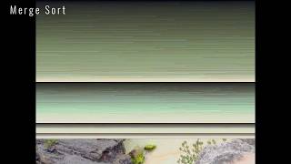 Sorting Algorithms Visualized with Photos (Java)