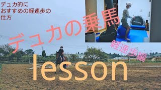 【乗馬】デュカの乗馬レッスン　　軽速歩編