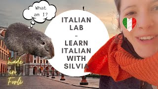 Forlì e gli animali strani // Italian Blab w/Silvia (Eng \u0026 Ita Subs)