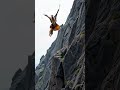 goat life ⛰️🐐🦅🙏 shortsvideo goats eagleadventure cliffsiderescue goatclimbing