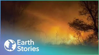 The Unthinkable Natural Disasters Of 2016 | Disaster Diaries | Earth Stories