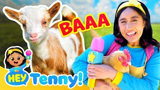 Meet Tenny's Animal Friends! | Farm Animals | Educational Videos for Kids | Hey Tenny!