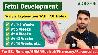 Fetal Development Week By Week | Fetal Development in Hindi