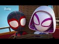 🕸️ spidey piraten disney channel nl