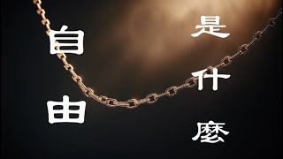 形而上 （六）自由是什麼