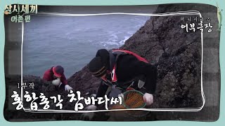 유해진의 인간극장 ′참바다씨의 홍합 따기′ | 삼시세끼 어촌편 3 meals a day-fishing trip EP.2