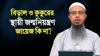 বিড়াল ও কুকুরের স্থায়ী জন্মনিয়ন্ত্রণ করা যাবে কিনা? শায়খ আহমাদুল্লাহ | Shaikh Ahmadullah