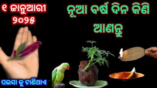 ନୂଆ ବର୍ଷ ରେ ଘରକୁ ନେଇ ଆସନ୍ତୁ ଏହି ଜିନିଷ/ ହେବ ଧନର ବର୍ଷା/New year 2025