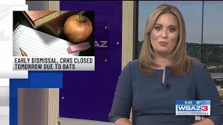 Schools close early due to bat issue