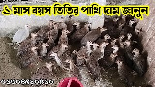 তিতির পাখি দাম জানুন ১ মাস বয়স।  সিরাজগঞ্জ উল্লাপাড়া।  titir pakhi palon। shoriful vlogs