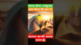 কবরে কাঁচা খেজুরের ডাল দিলে কি হয়?জানলে আপনি অবাক হবেন!😱#facts #islamicfacts #shorts #banglafacts