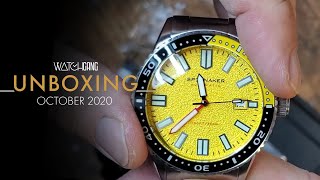 Watch Gang Member Unboxings | October 2020