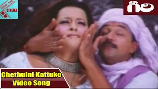 Chethulni Kattuko Video Song || Giri Movie || Arjun, Reema Sen, Ramya || MovieTimeVideoSongs