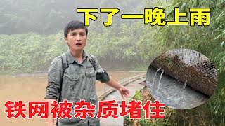 山里又下大暴雨，鱼塘铁网堆积了很多杂物，要赶快清理出去才行！【乡野志刚】#animals #搞笑 #劳动