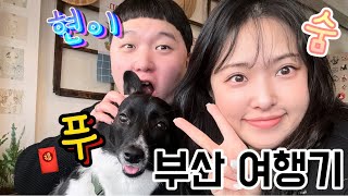 [Vlog] 애견동반 부산 | 해운대\u0026광안리 | 먹부림 여행 | 리벤시아 호텔 | 영무파라드 호텔 | 본본 | 솥뚜껑 삼겹살 | 고낙원 | 조개구이