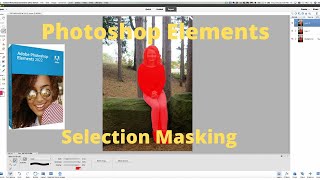 Photoshop Elements How To Use Selection Masking
