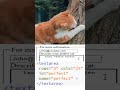 textarea form HTML