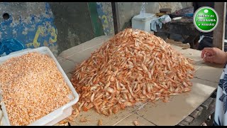 Feira da galinha e do peixe em Timbaúba