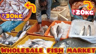 রানাঘাট পাইকারি মাছ বাজার। Ranaghat wholesale fish market।fish food market।@Mrexplorer000