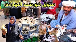 خليكو معايا يابشر /واسعار فراخ بط حمام ارانب رومى وز اخضر الحقو طيور رمضان🦆🐓