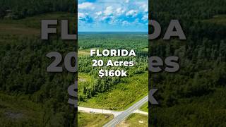 FLORIDA Land for Sale • 20 Acres with Power \u0026 Road Frontage • LANDIO