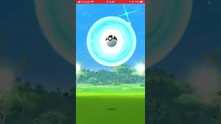 【ポケモンGO】色違いグレッグル Pokémon GO