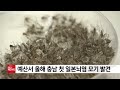 예산서 올해 충남 첫 일본뇌염 모기 발견