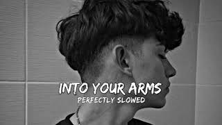 Into Your Arms - Whitt Lowry ( 𝚂𝚕𝚘𝚠𝚎𝚍 & 𝚁𝚎𝚟𝚎𝚛𝚋 ) | ft. Ava Max - [No Rap] | #lofi #slowedandreverb
