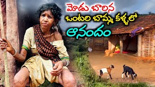 tribal people helping videos || tribal single old woman struggles for living@swatis mania