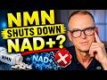 Does NMN Stop Your Body From Making NAD+?