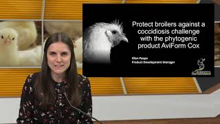 Webinar Poultry World: Protect broilers against a coccidiosis challenge with  AviForm Cox