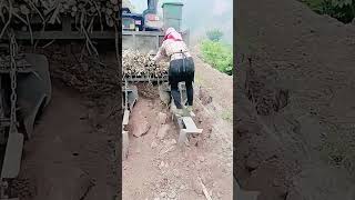 Sugarcane mechanized planting process- Good tools and machinery can increase work efficiency