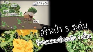 สร้างป่า 5 ระดับ แบบโคกหนองนาโมเดลใน 1 เดือน