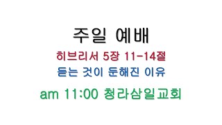 주일241/듣는 것이 둔해진 이유/히5:11-14/241110 #청라삼일교회 #임형진목사