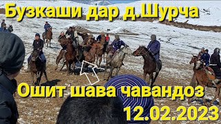 Бузкаши дар д.Шурча 12.02.2023 #1 #бузкаши #купкари #улок #subscribe #рекомендации #tajikistan