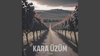 kara üzüm