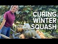 Curing and Saving Winter Squash