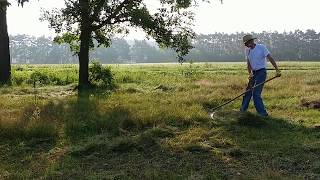 Scything dry sparse grass