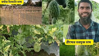 গ্রীষ্মের তরমুজ চাষের গভেষনা প্রজেক্ট (water melon recearch project huge production)