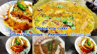 Let's get Fishy !! Tarpon Fish / ପାନିଆଖିଆ ମାଛ Curry 🐠 @PseJTak #odiacuisine #nonvegrecipe #food