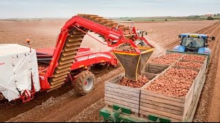 The World's Most 5 Powerful Combines potato Harvesters Machines Grimme - Farming Equipment