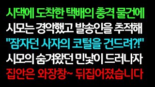 실화사연-시댁에 도착한 택배의 충격 물건에 시모는 경악했고 발송인을 추적해 시모의 숨겨왔던 민낯이 드러나자 집안은 와장창~ 뒤집어졌습니다ㅣ라디오드라마ㅣ사이다사연ㅣ