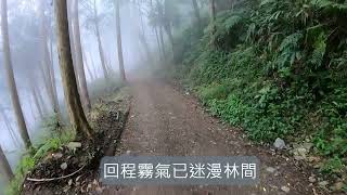 瘋林(步)道~小關山林道